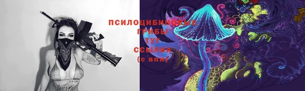 а пвп мука Алексеевка