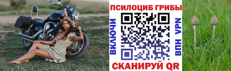 Псилоцибиновые грибы Cubensis  кракен ONION  Нея  купить наркоту 